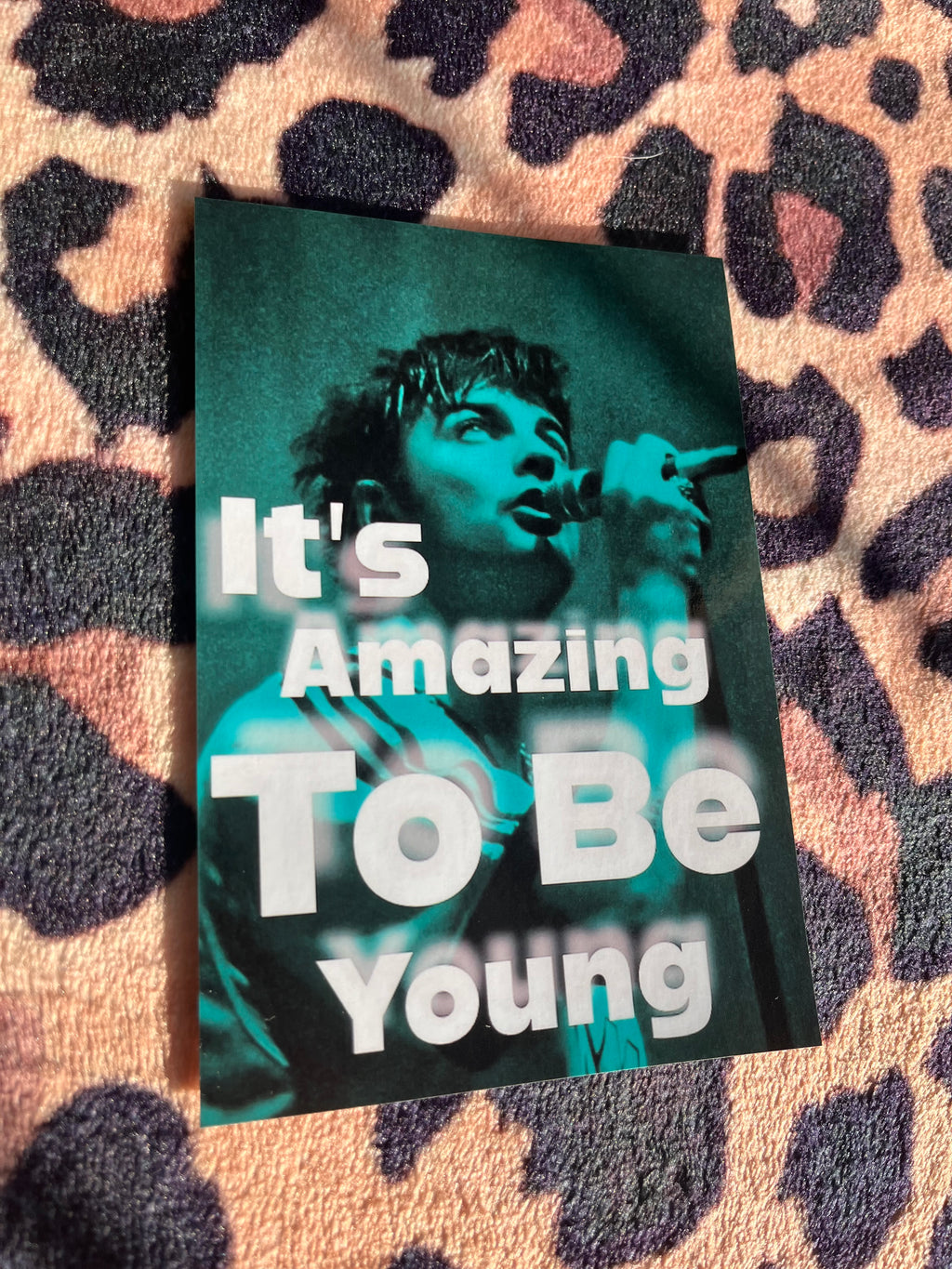 Fontaines DC it’s amazing to be young posters