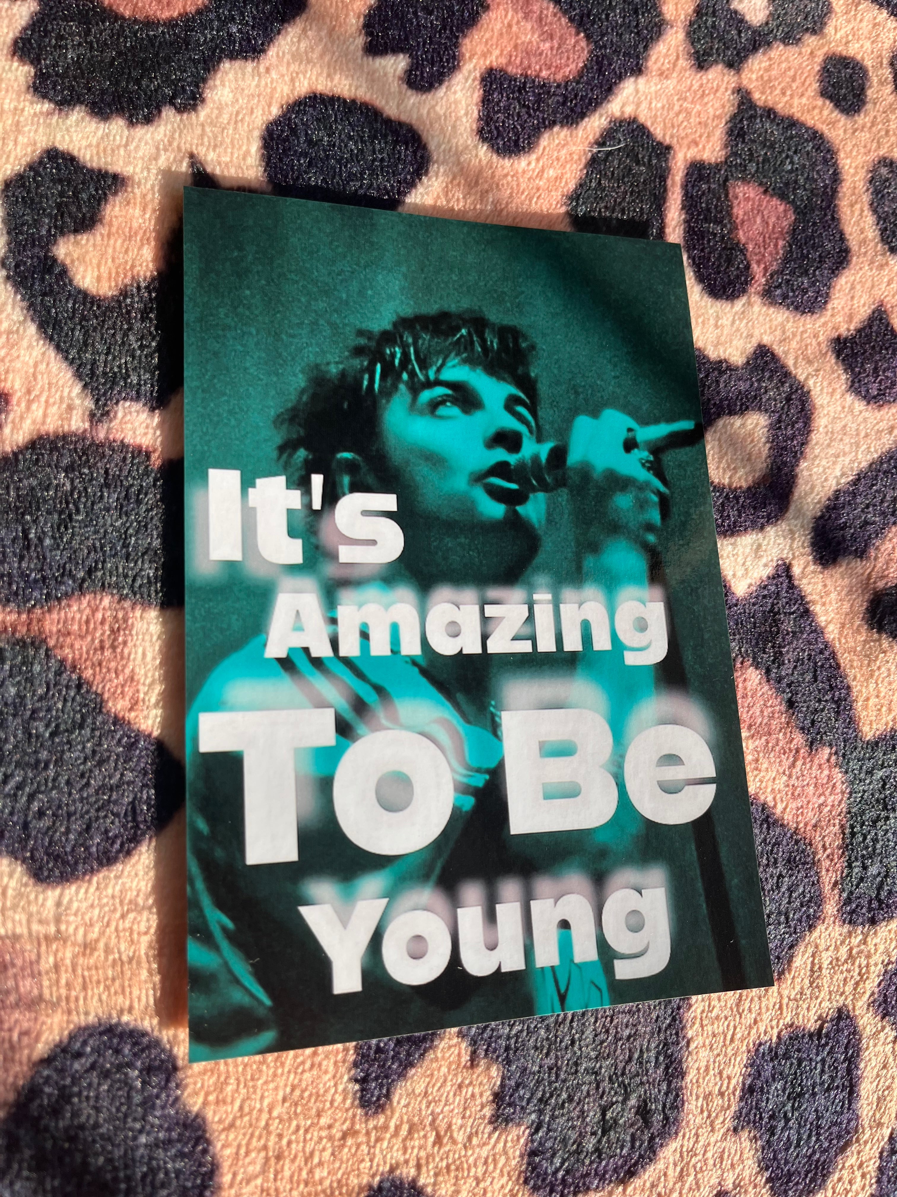 Fontaines DC it’s amazing to be young posters