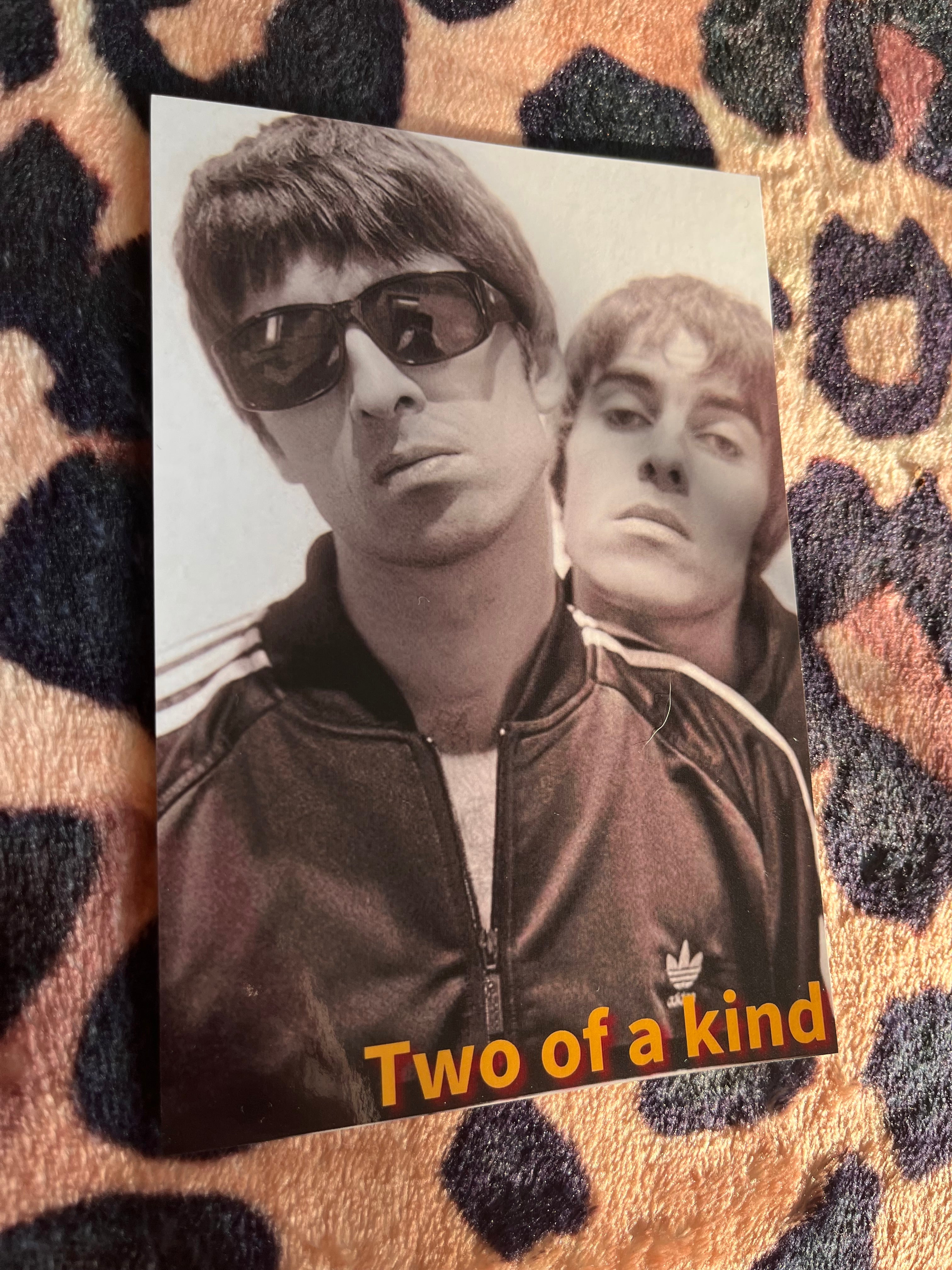 Oasis posters