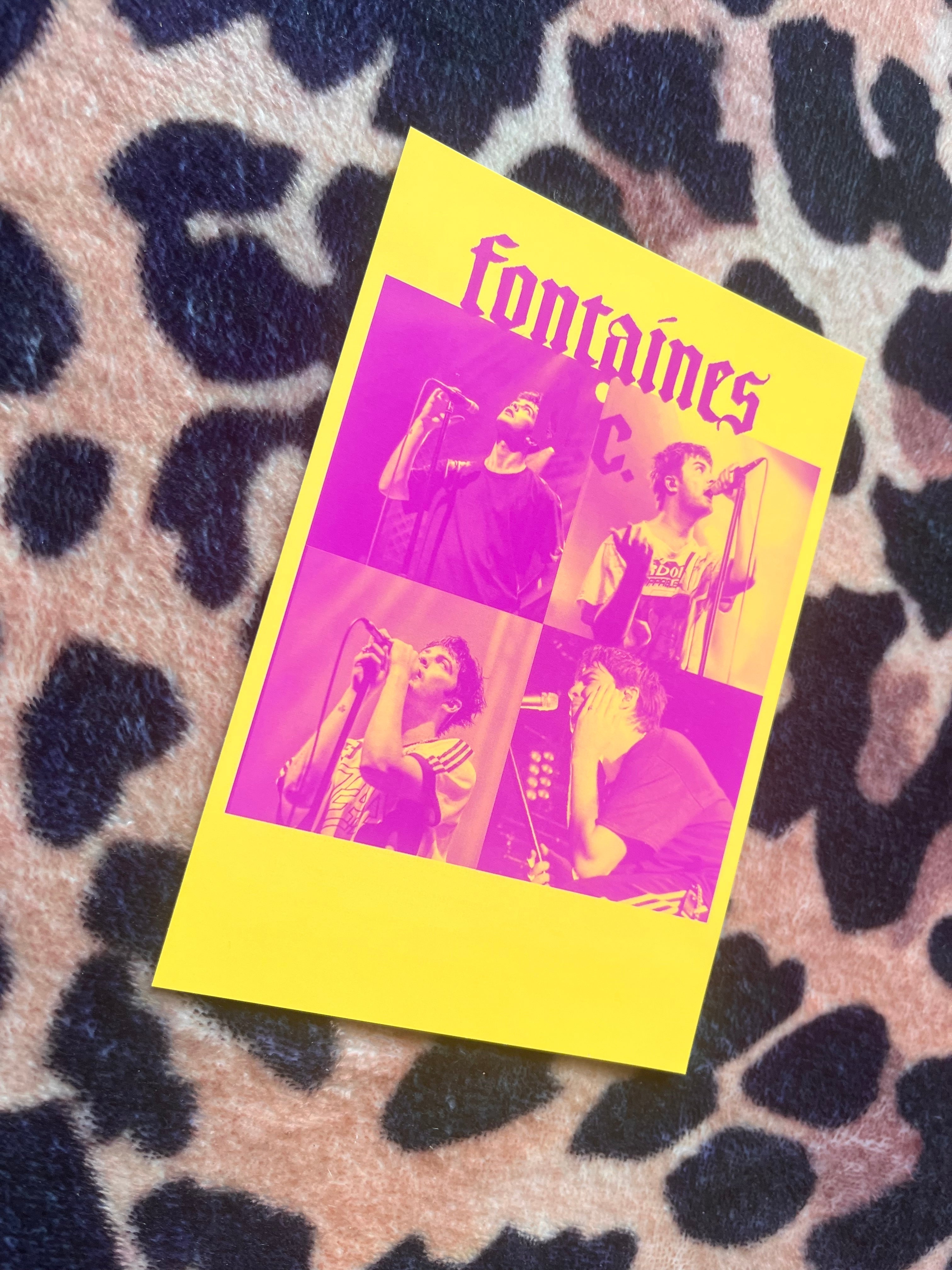 Fontaines dc posters