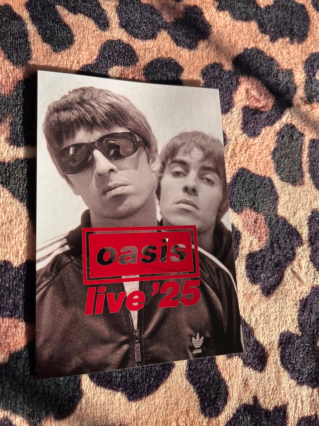 Oasis live 25 poster red