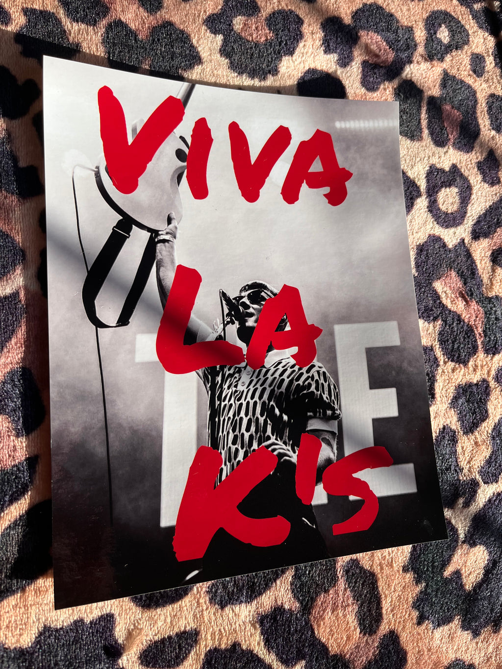 Viva la Ks poster