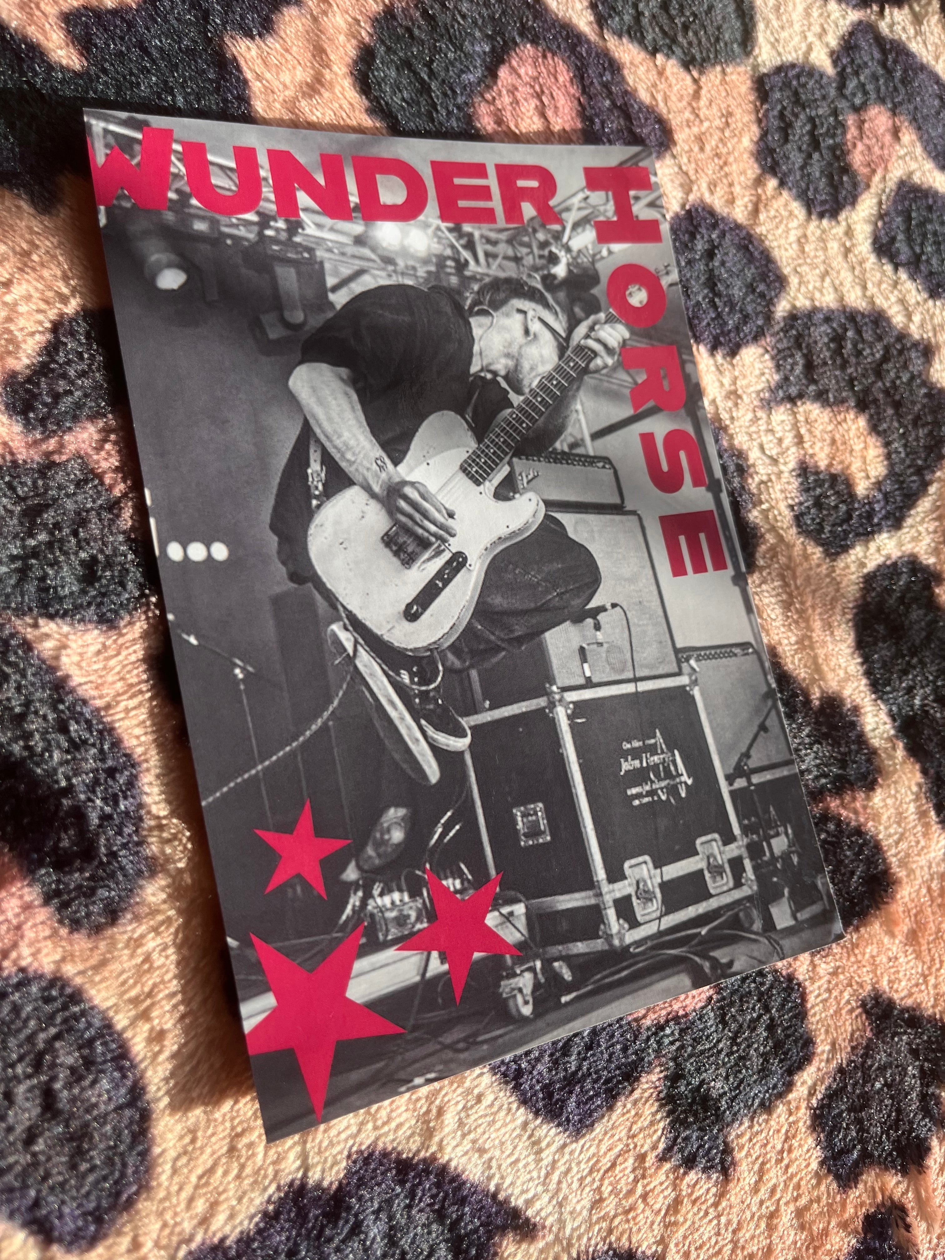 Wunderhorse pink stars poster