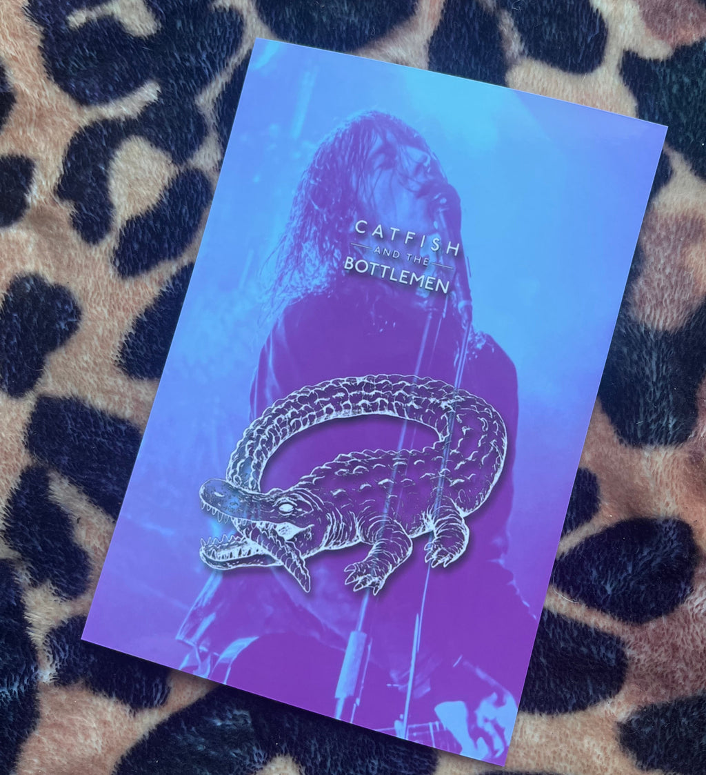 Catfish and the bottlemen posters