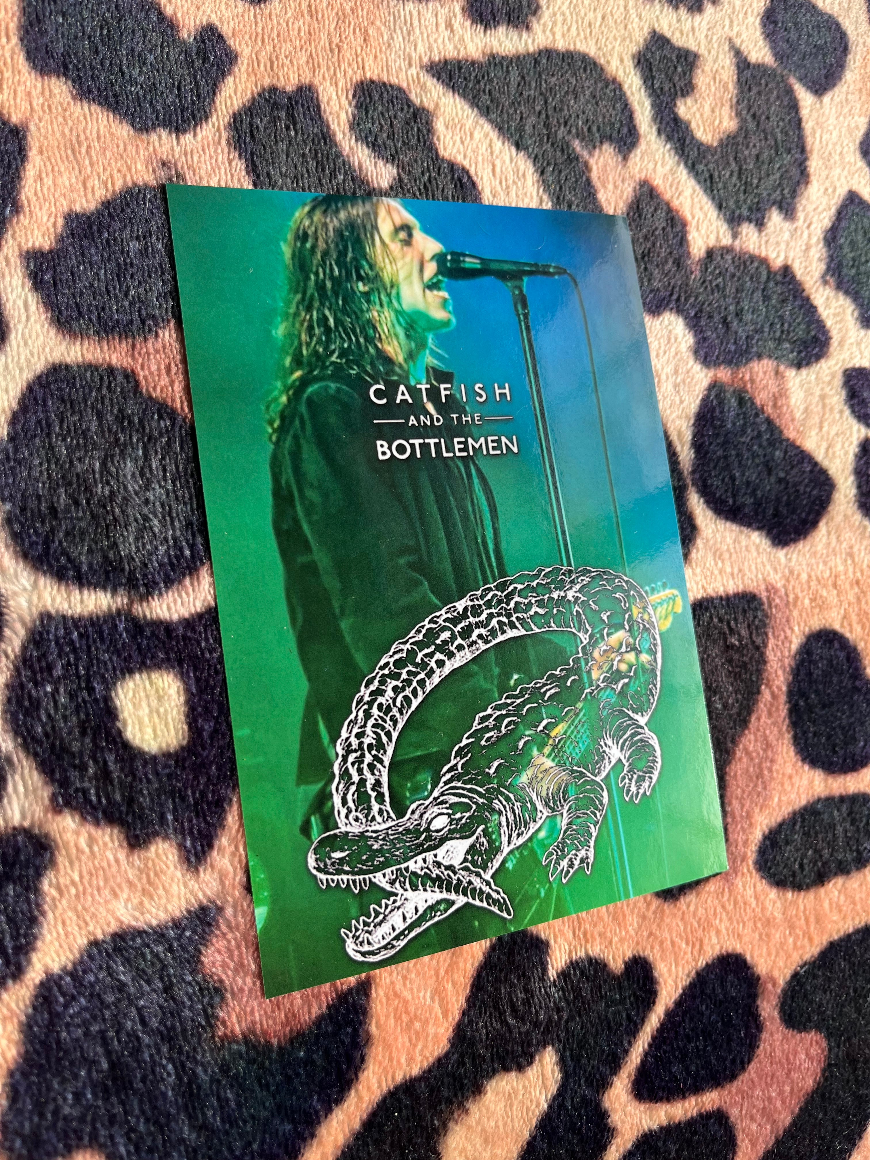 Catfish and the bottlemen poster