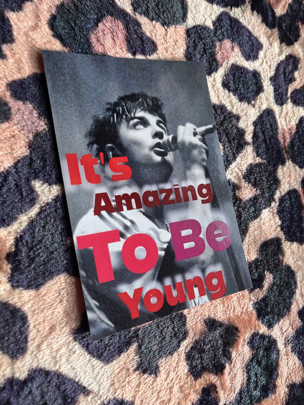 Fontaines DC it’s amazing to be young posters