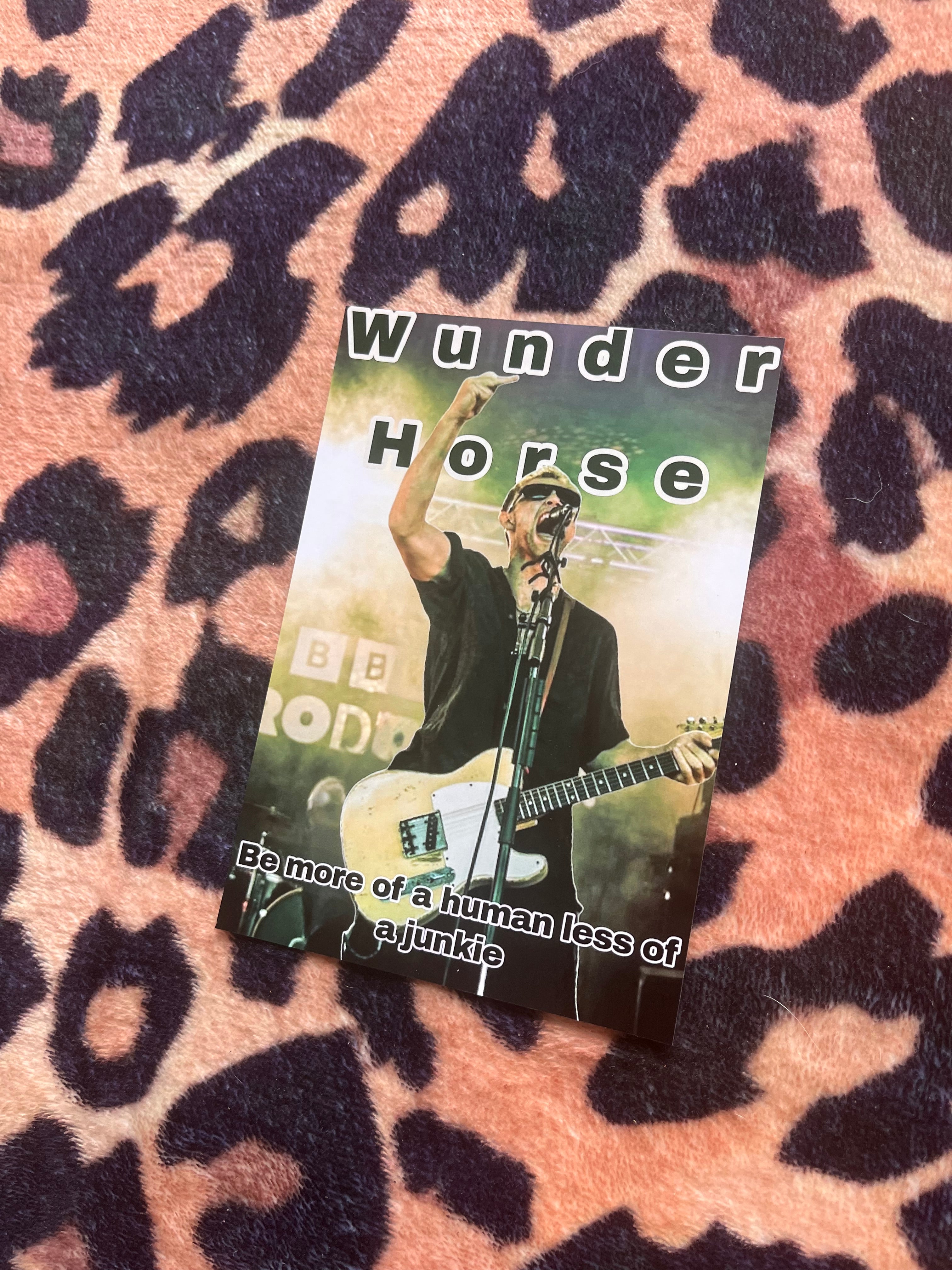 Wunderhorse more of a human poster