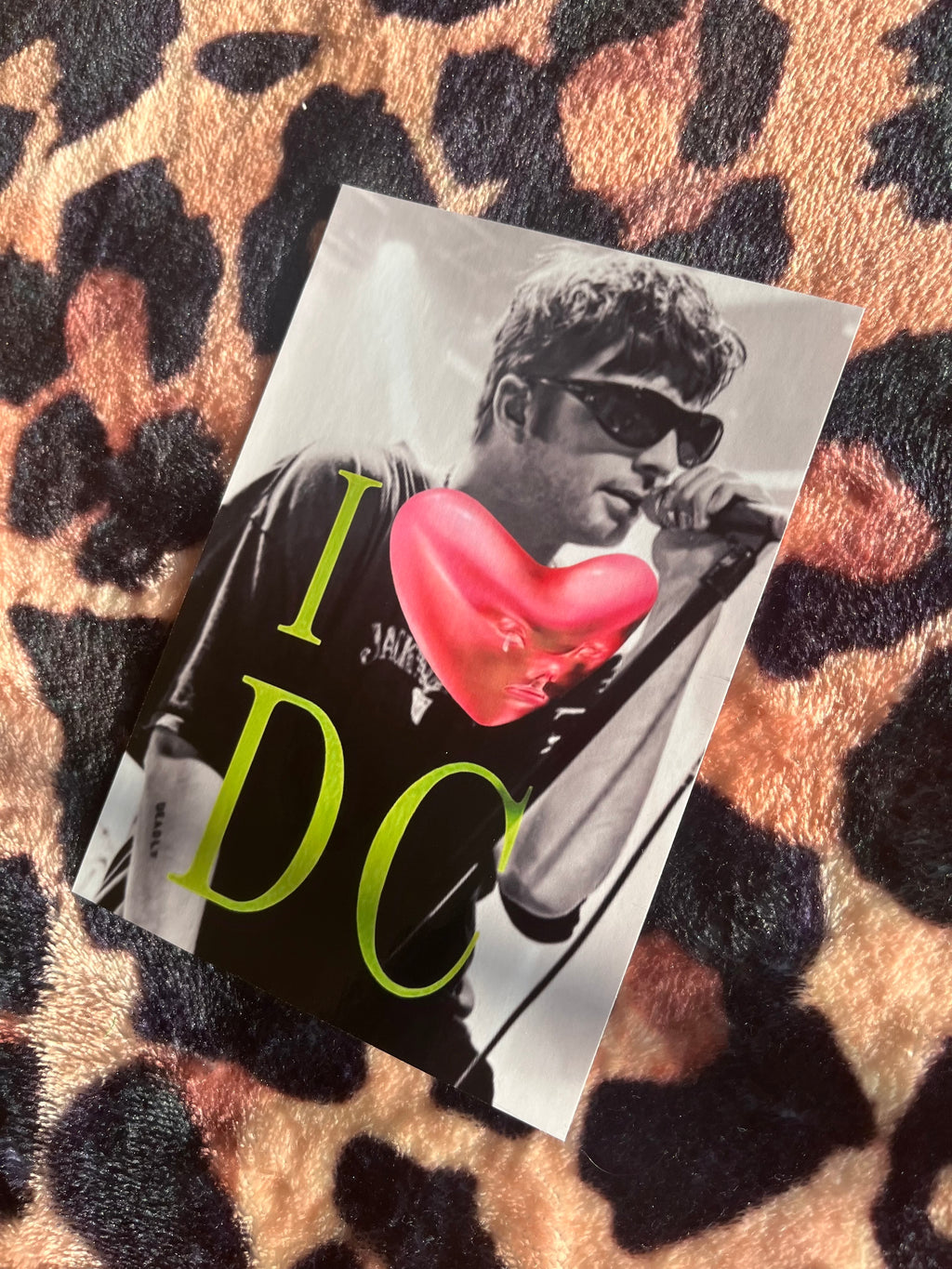 I love Fontaines dc poster