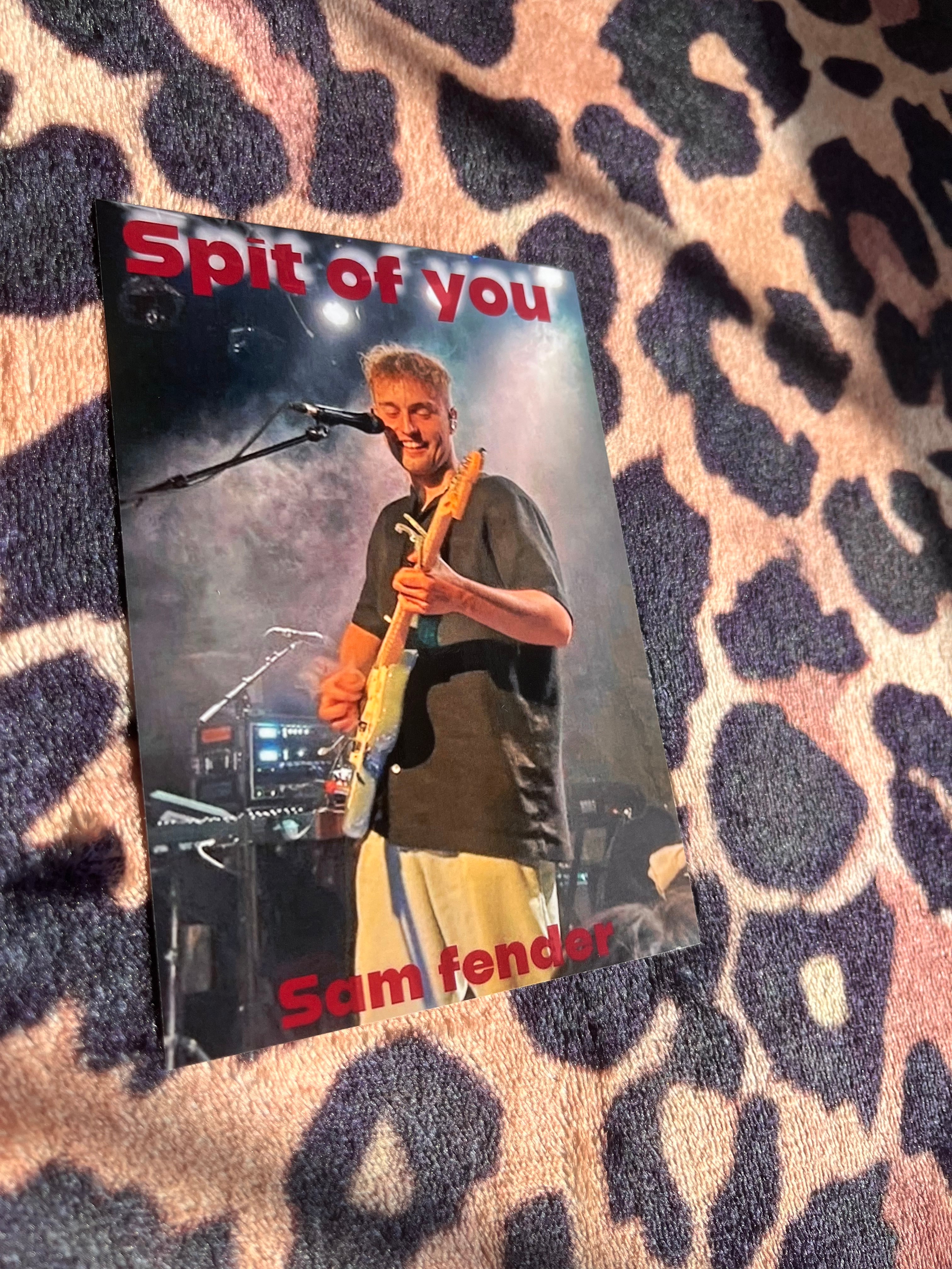 Sam fender spit of you poster