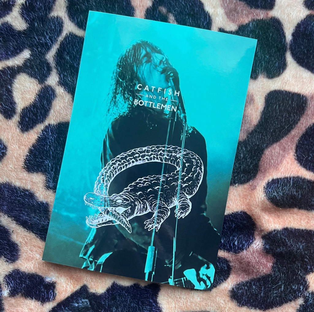 Catfish and the bottlemen posters