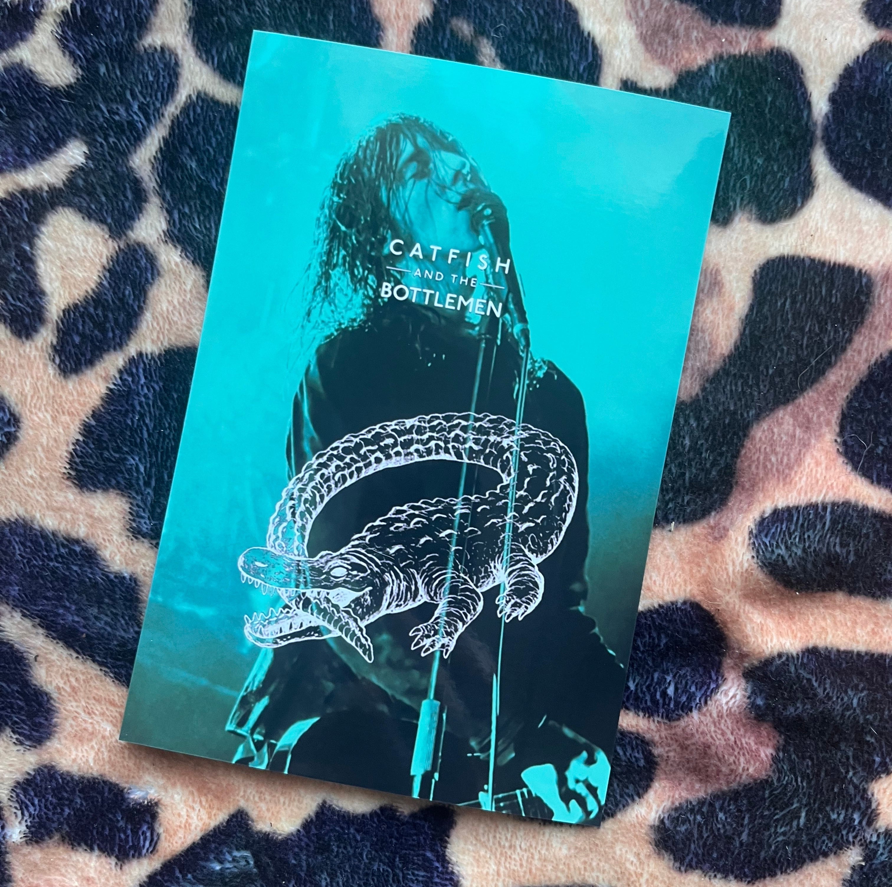 Catfish and the bottlemen posters