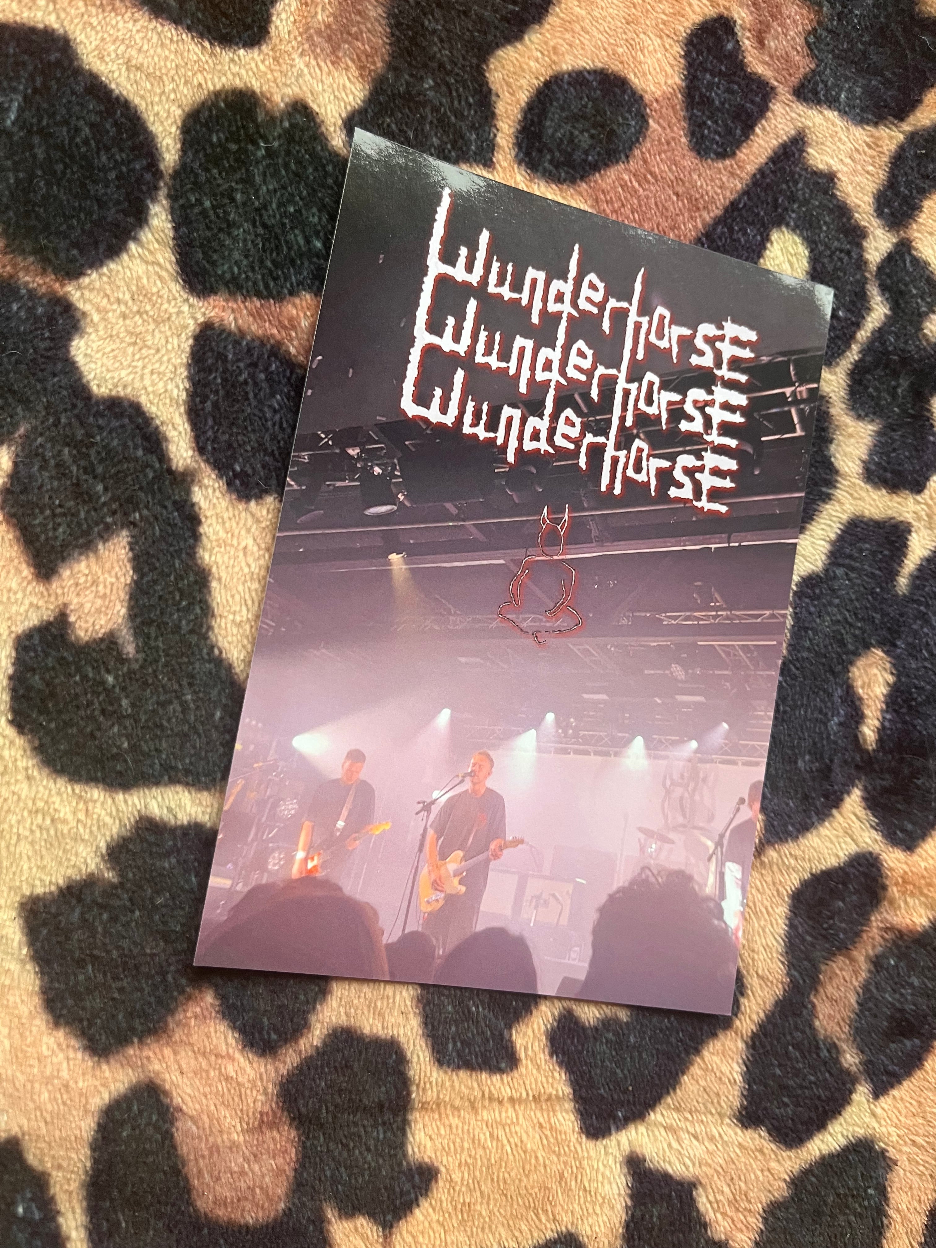 Wunderhorse Liverpool gig poster