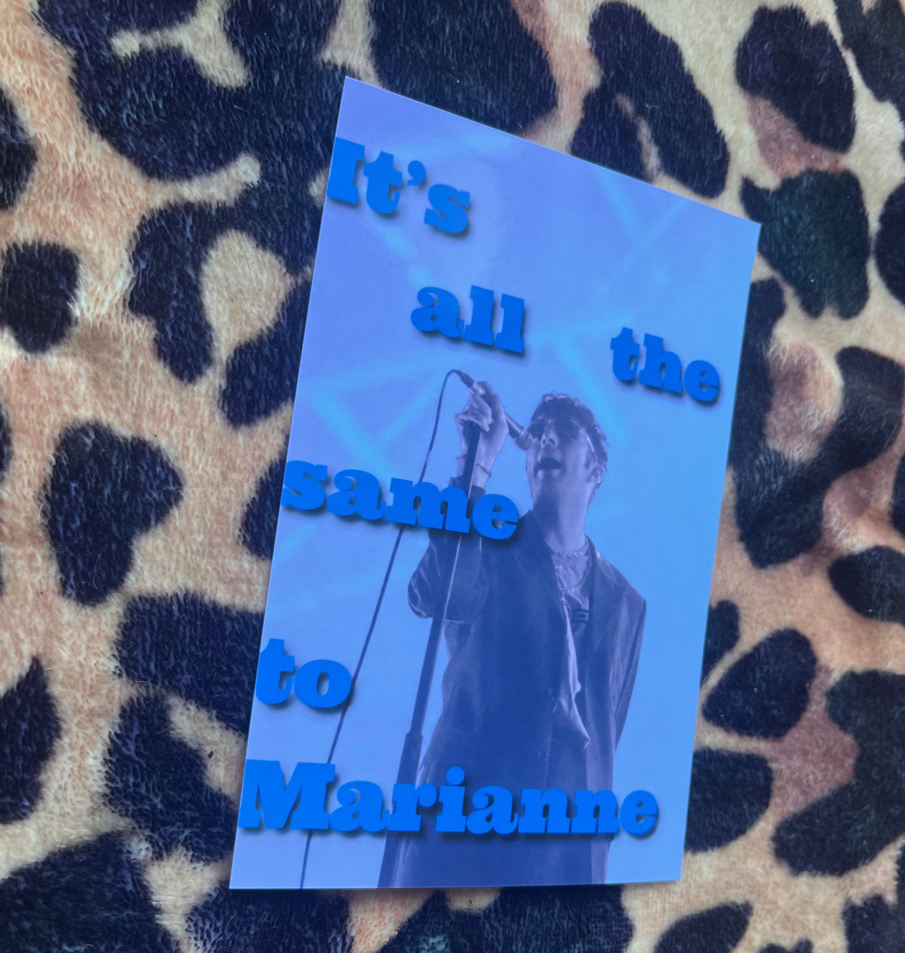 Fontaines DC Marianne Poster