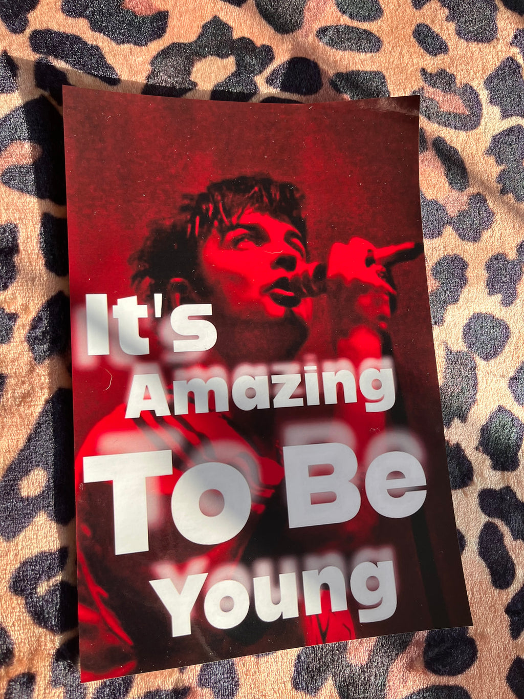 Fontaines DC it’s amazing to be young posters