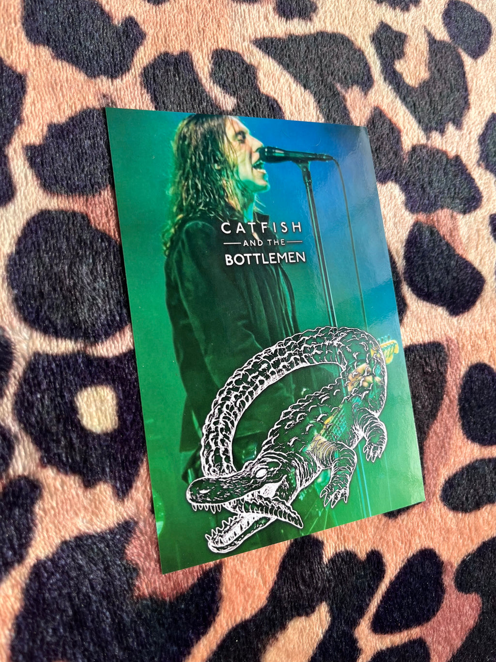 Catfish and the bottlemen poster