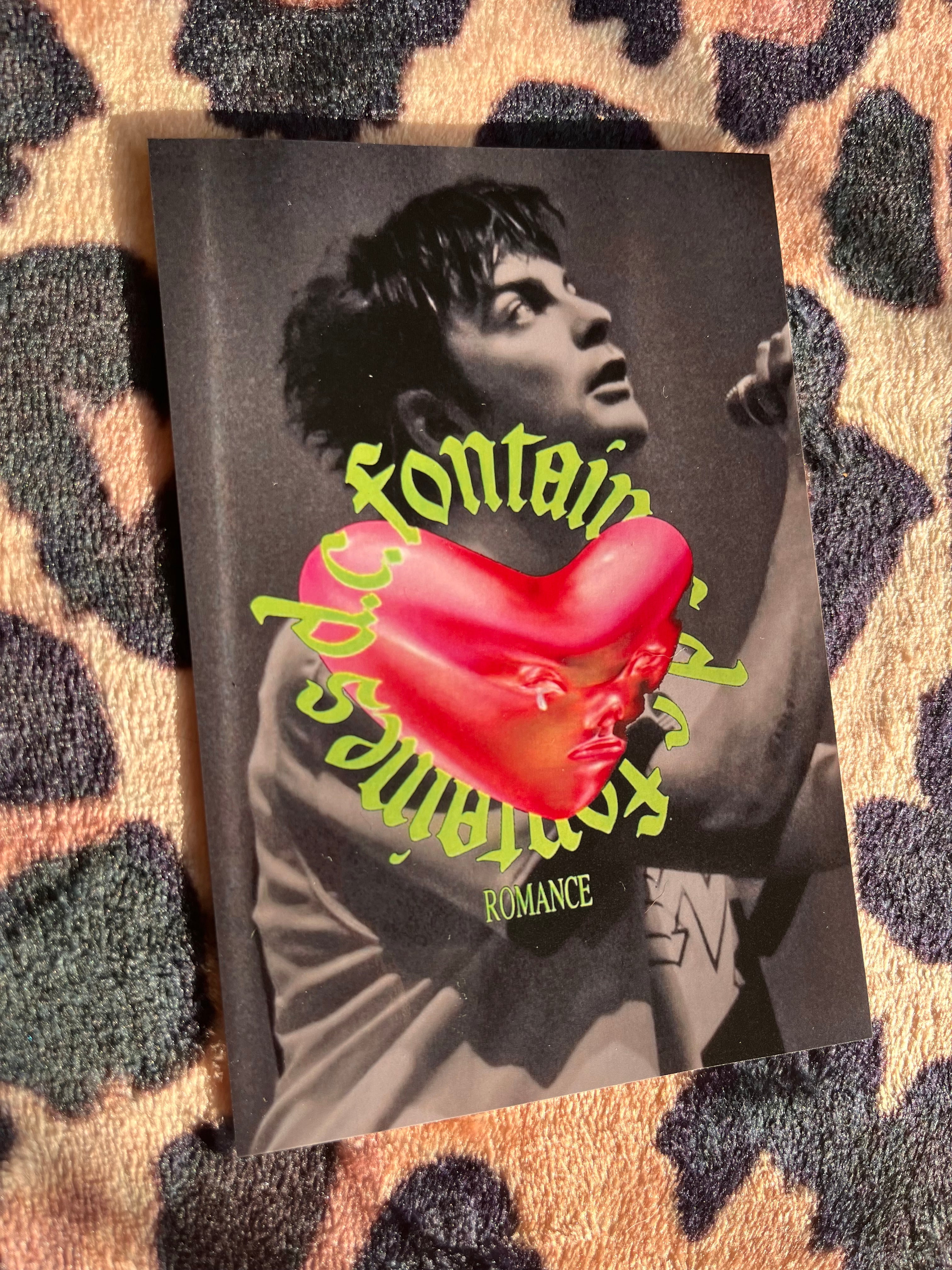Fontaines dc posters