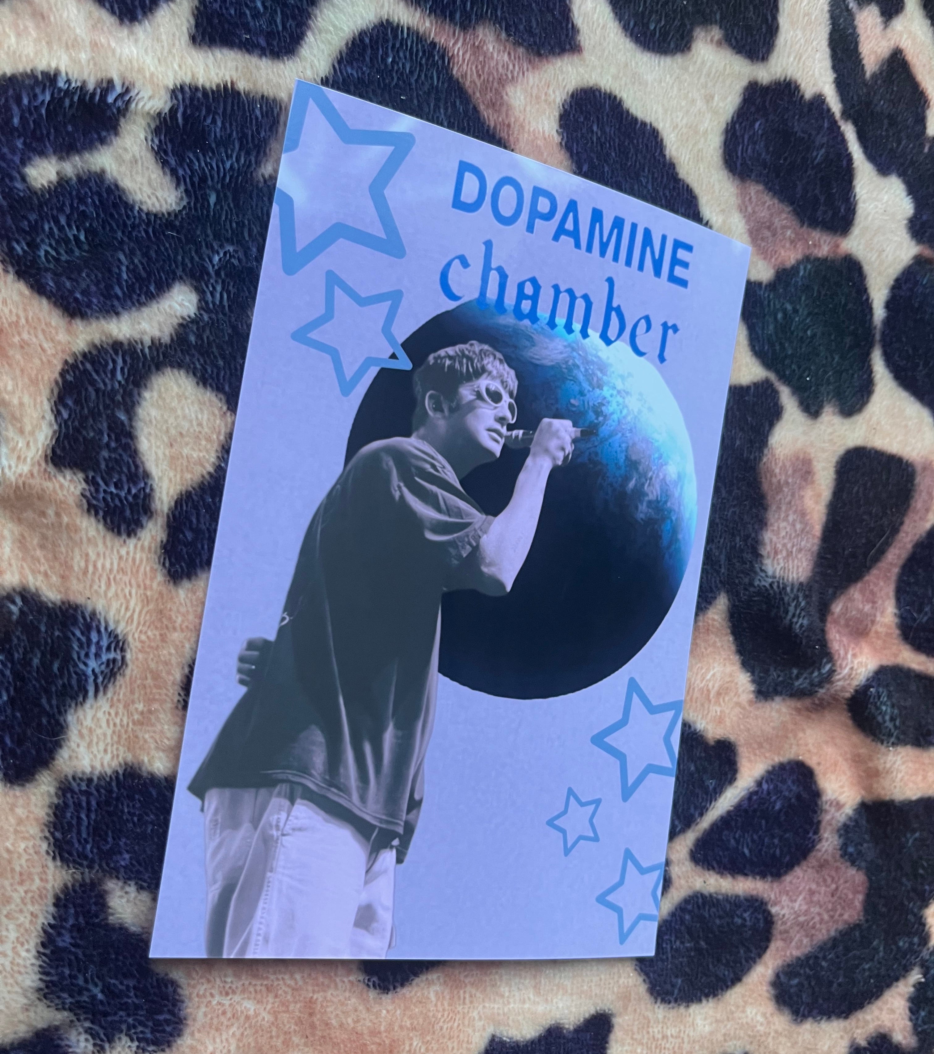 Fontaines dc dopamine chamber poster