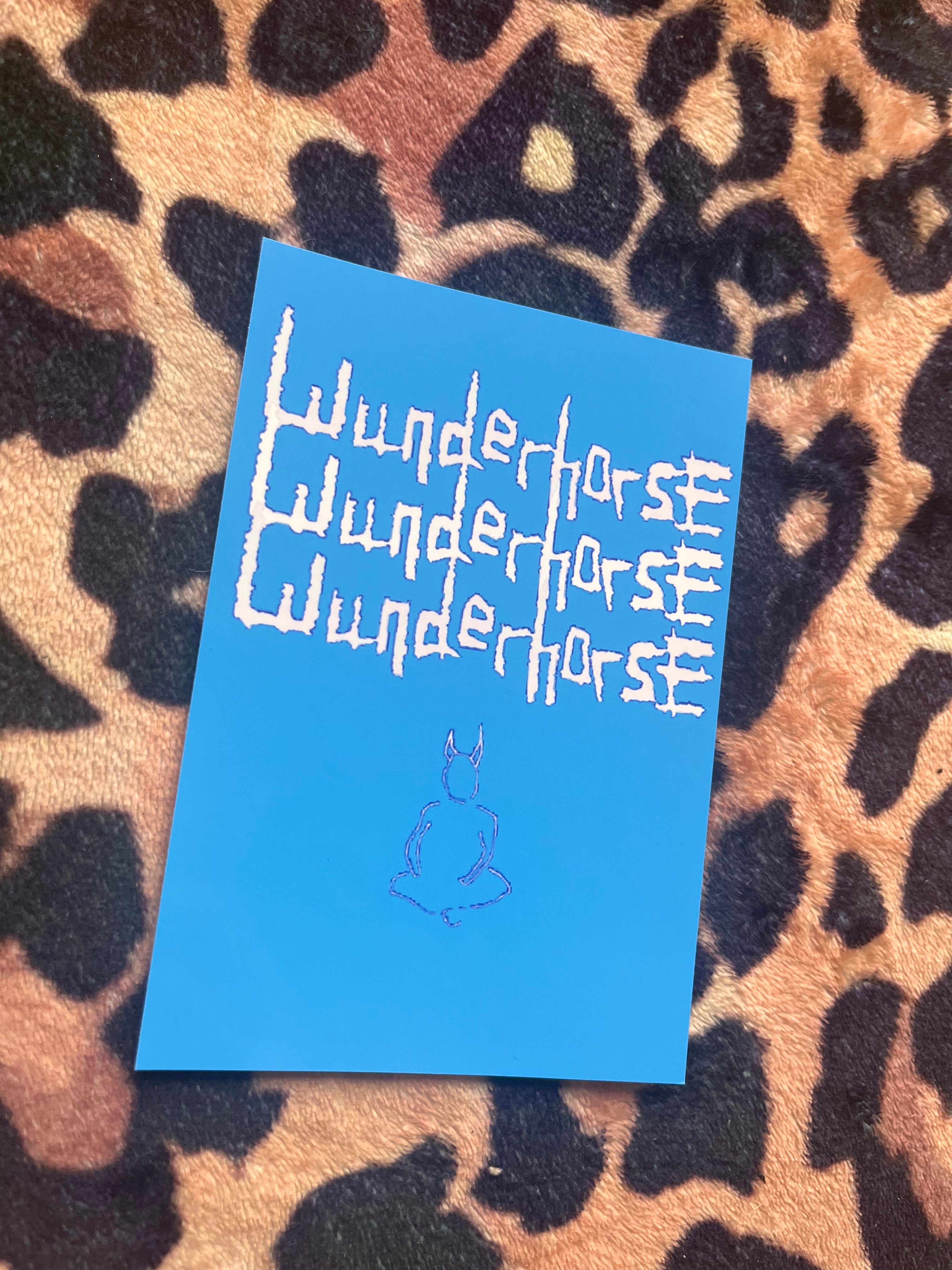 Wunderhorse poster
