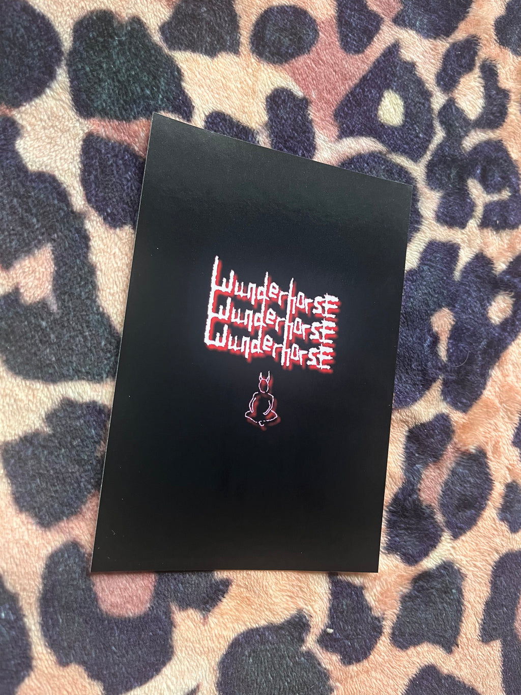 Wunderhorse poster