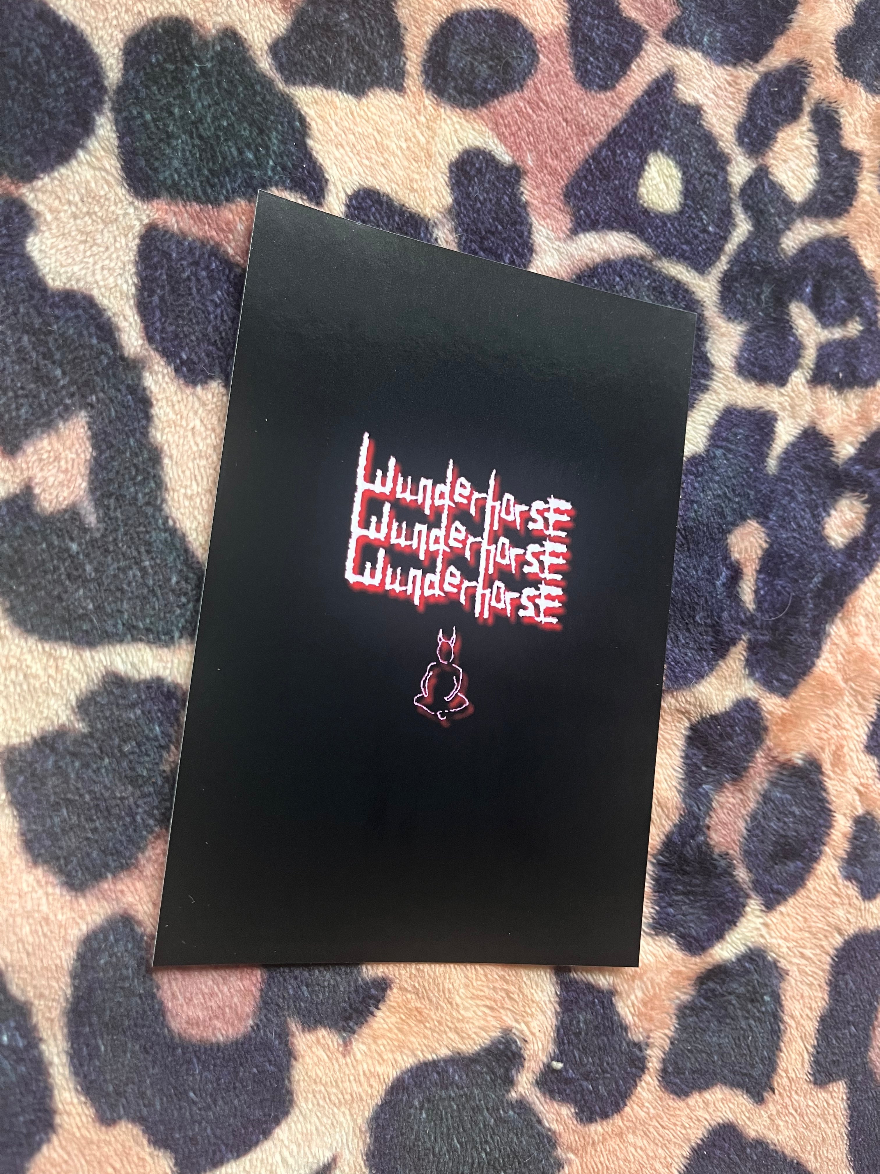 Wunderhorse poster