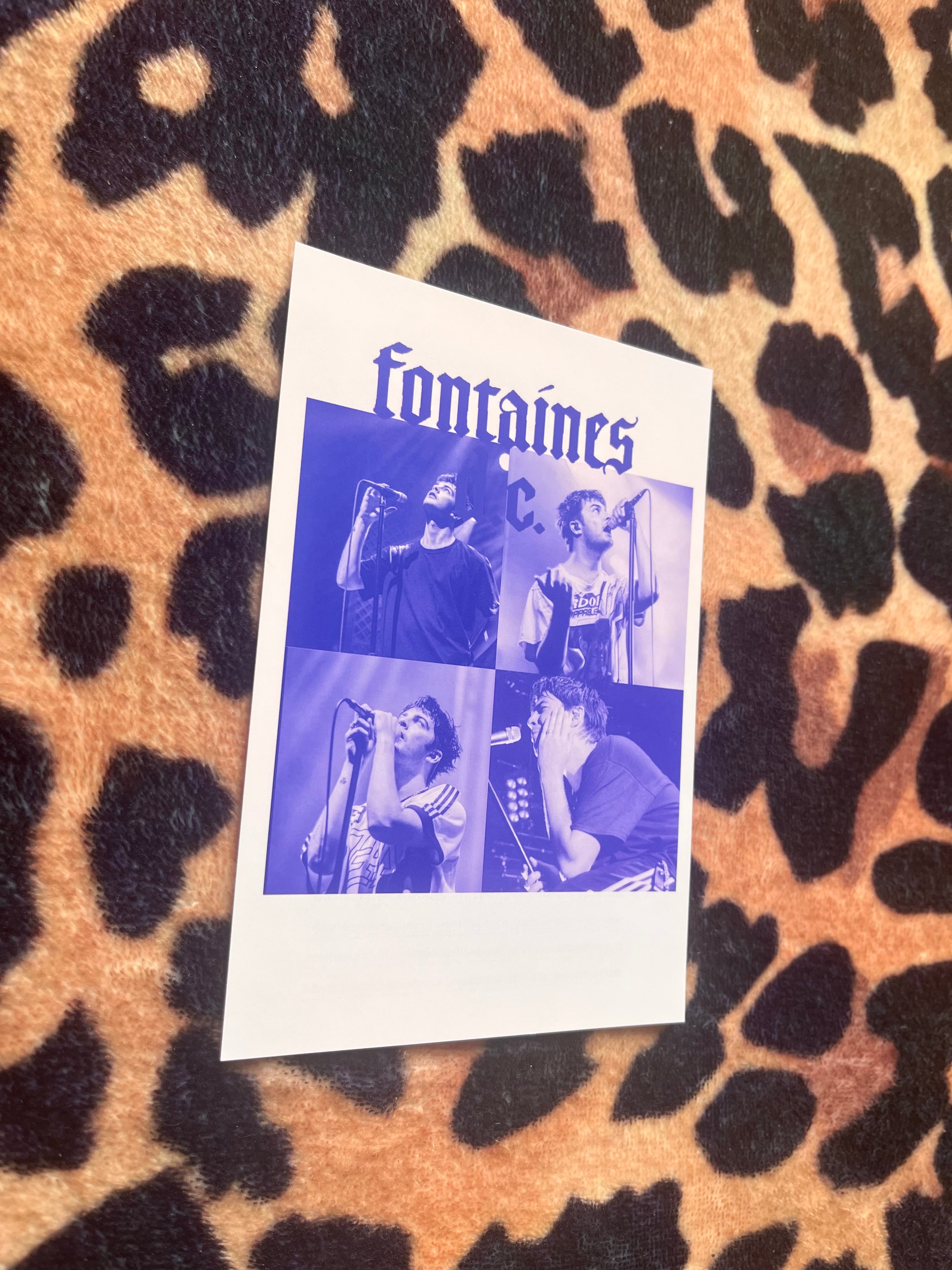 Fontaines dc posters