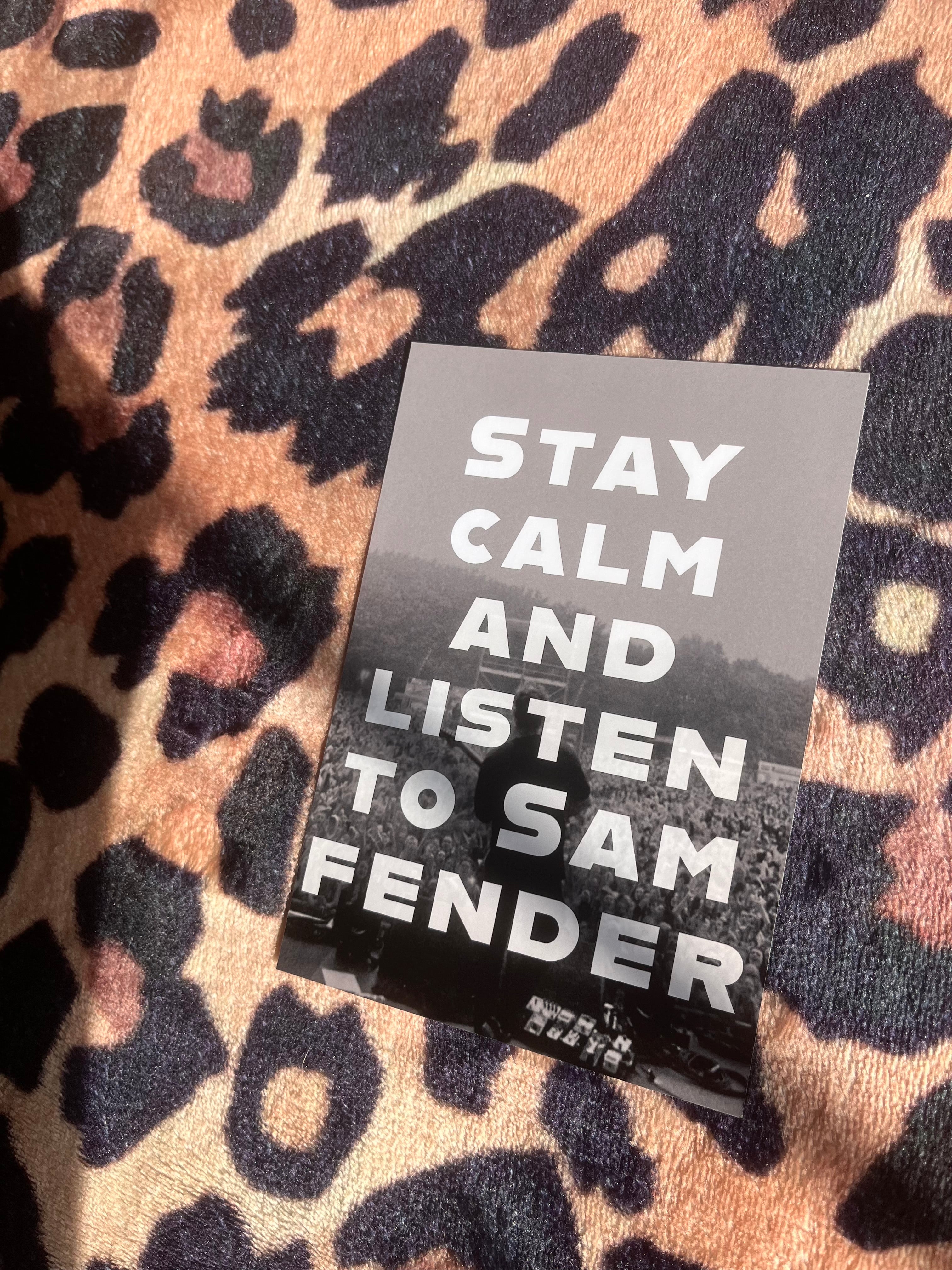 Stay calm and listen to Sam fender poster
