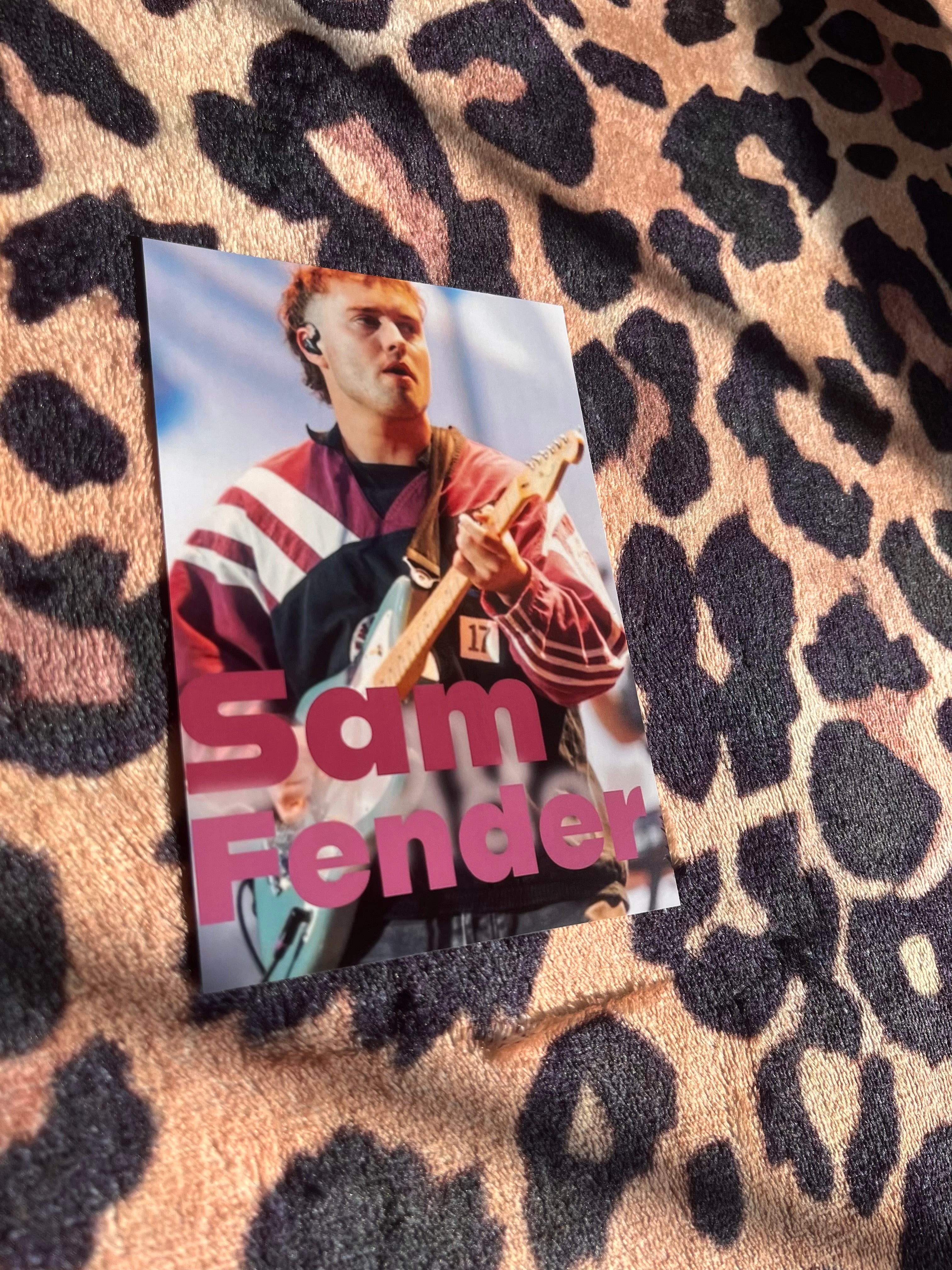 Sam fender poster