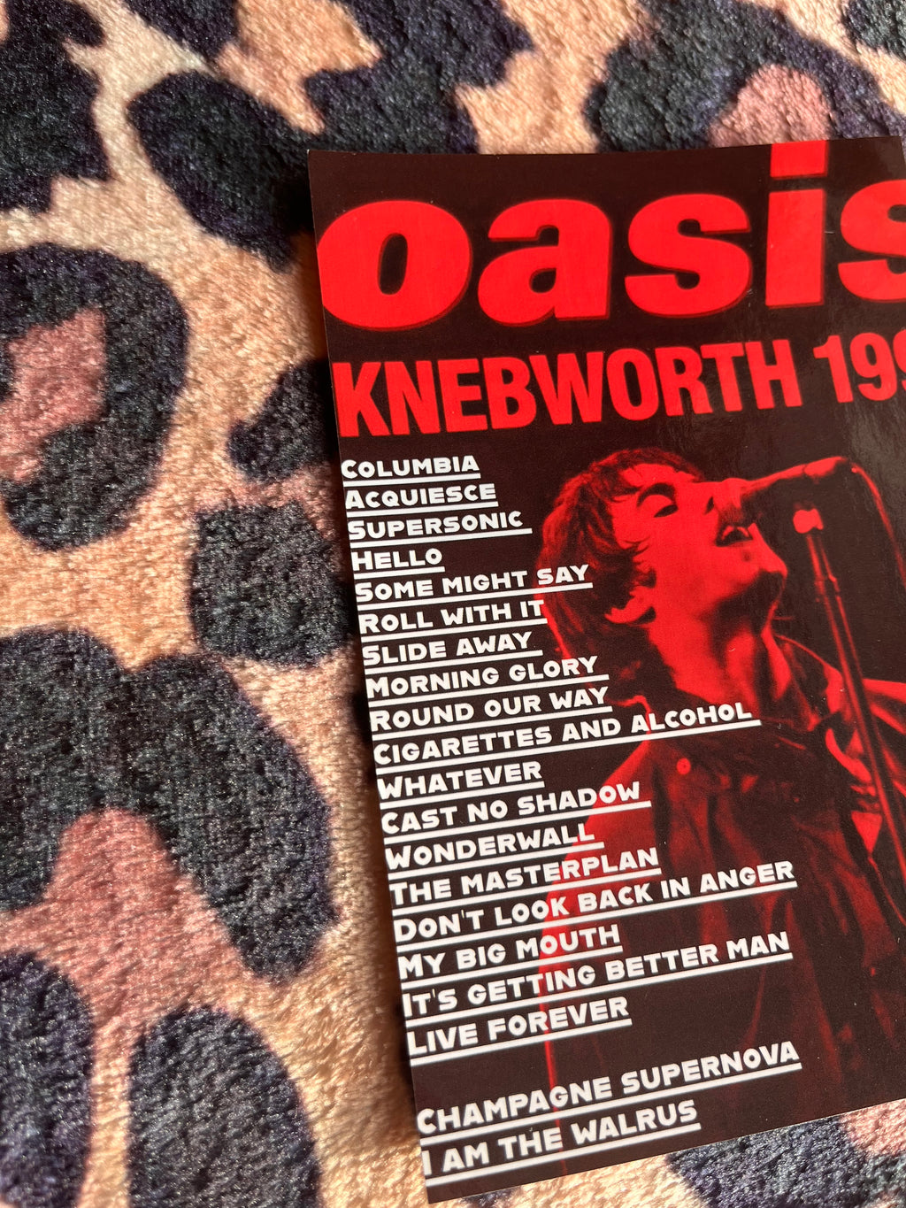Oasis knebworth posters