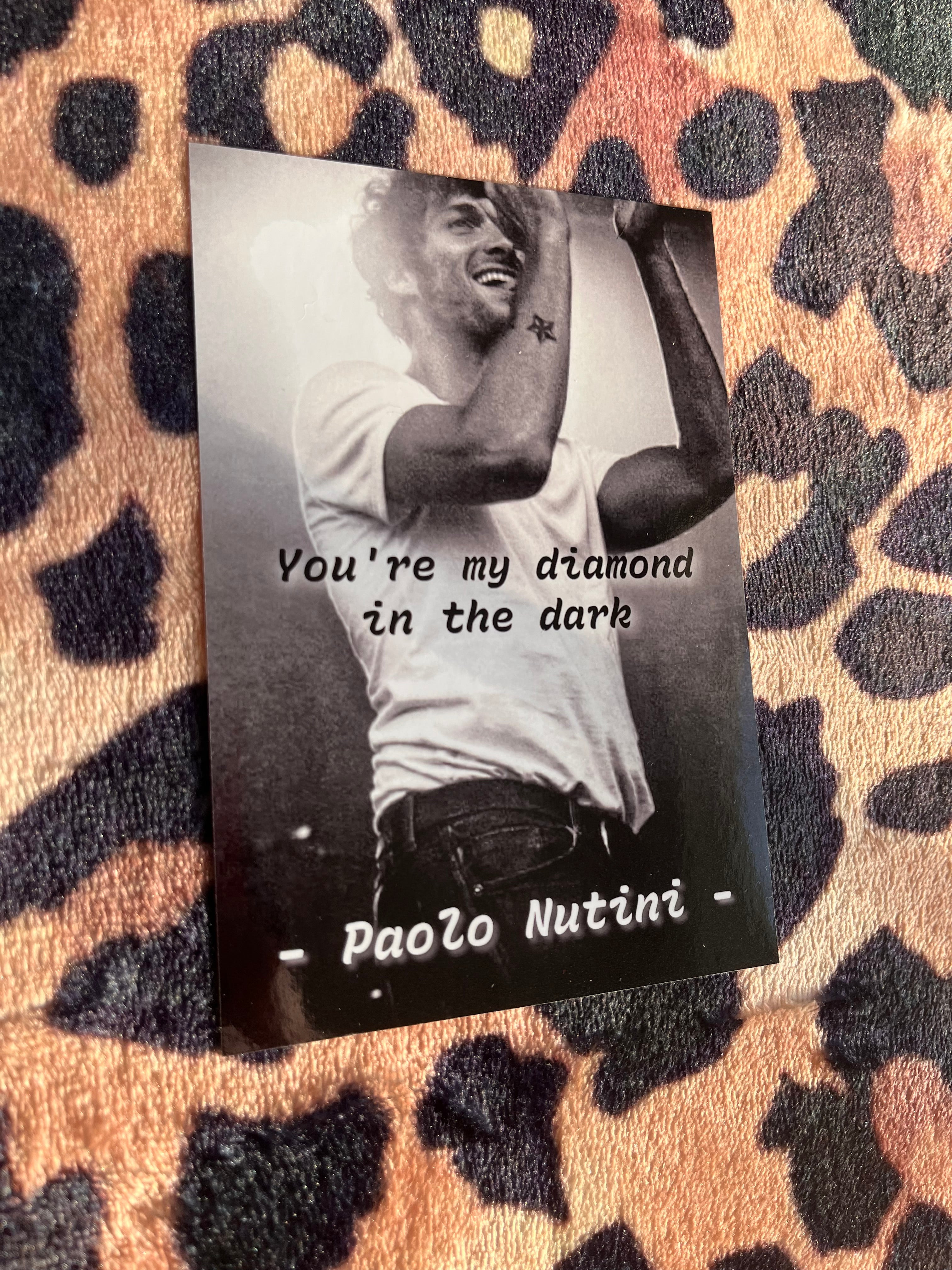 Paolo nutini diamond in the dark posters