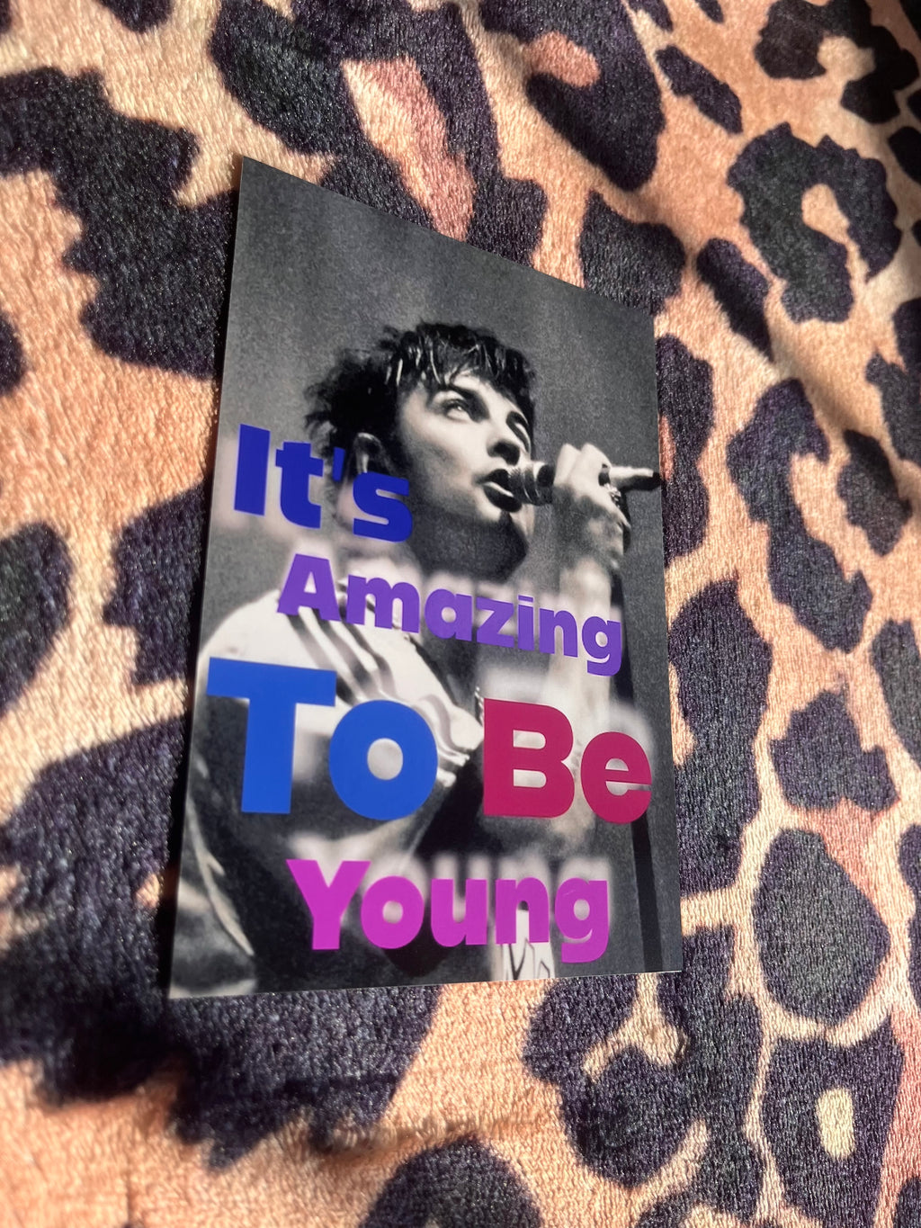 Fontaines DC it’s amazing to be young posters