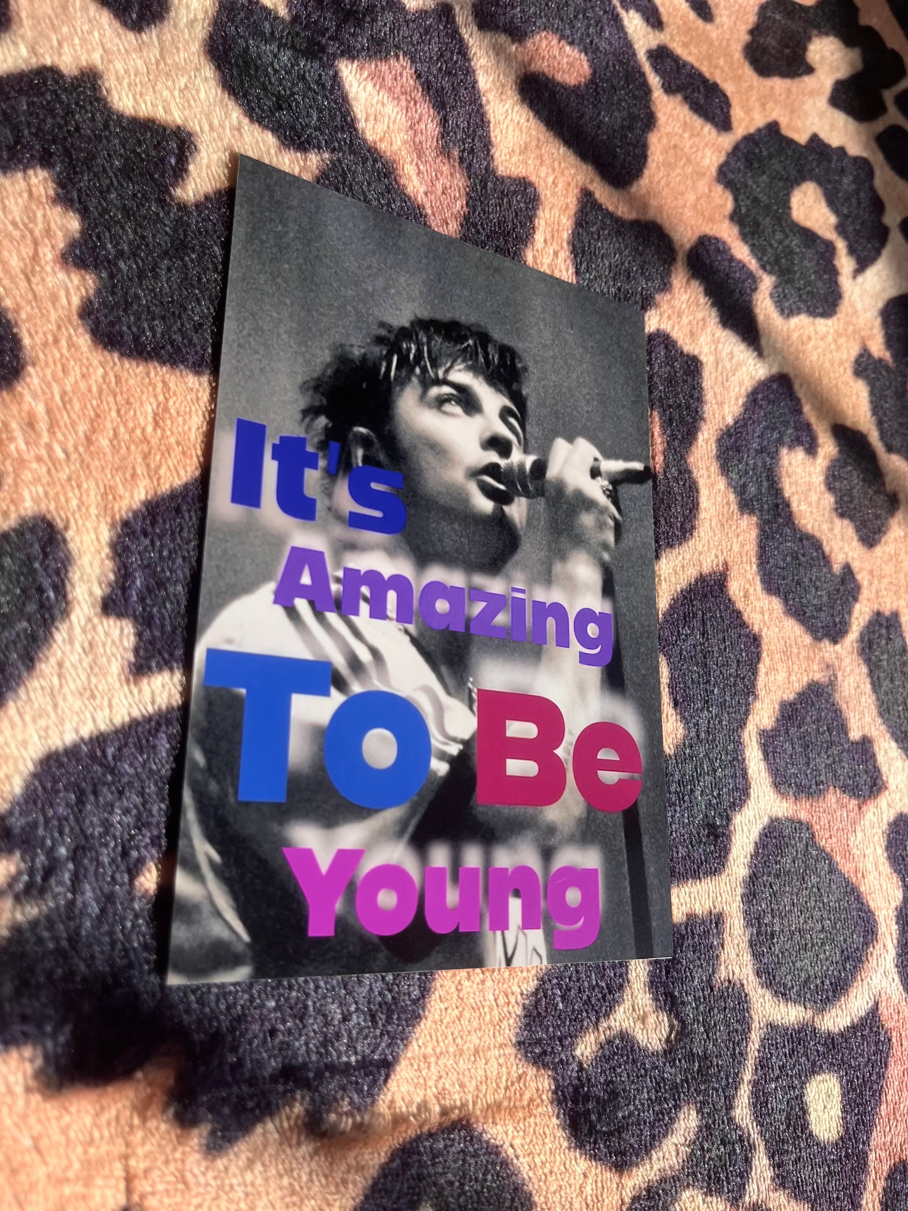 Fontaines DC it’s amazing to be young posters